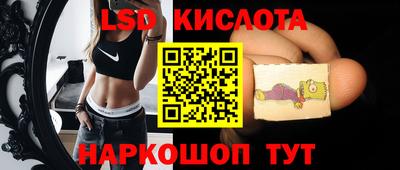 шишки Апшеронск