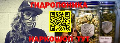 PSILOCYBIN Гусиноозёрск