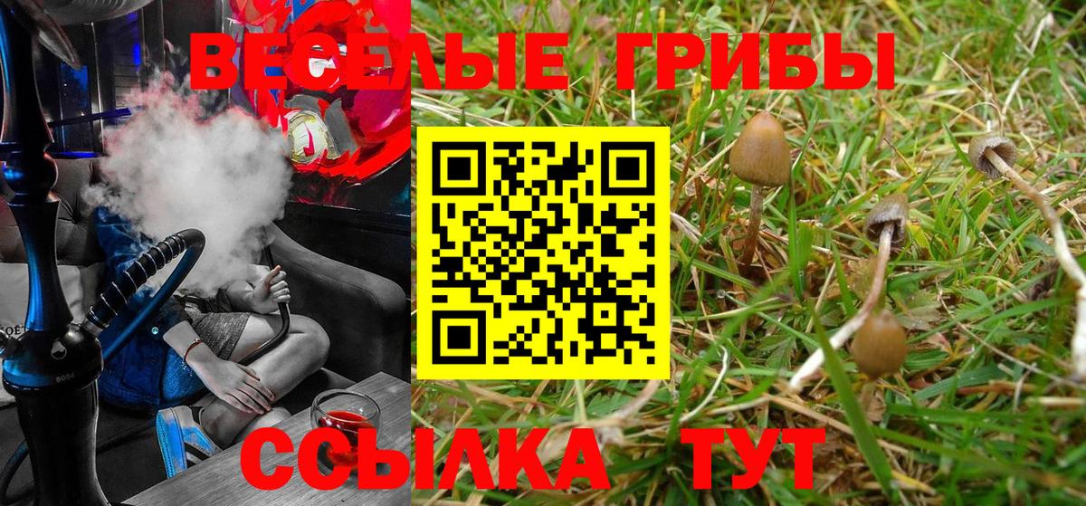 Псилоцибиновые грибы MAGIC MUSHROOMS Владивосток