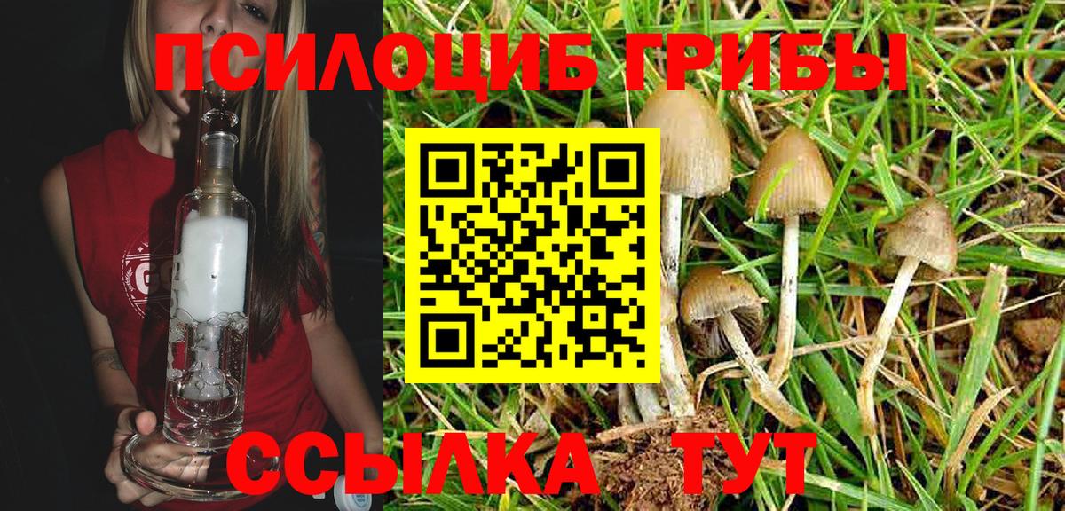Галлюциногенные грибы Psilocybine cubensis  Псилоцибиновые грибы Cubensis  Вход с VPN  Владивосток 
